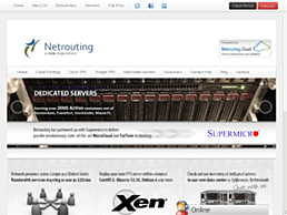Screenshot van website Netrouting